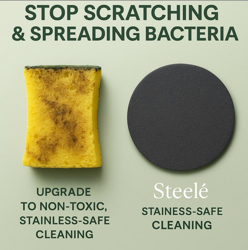 Non toxic sponge for stainless steel cookware
